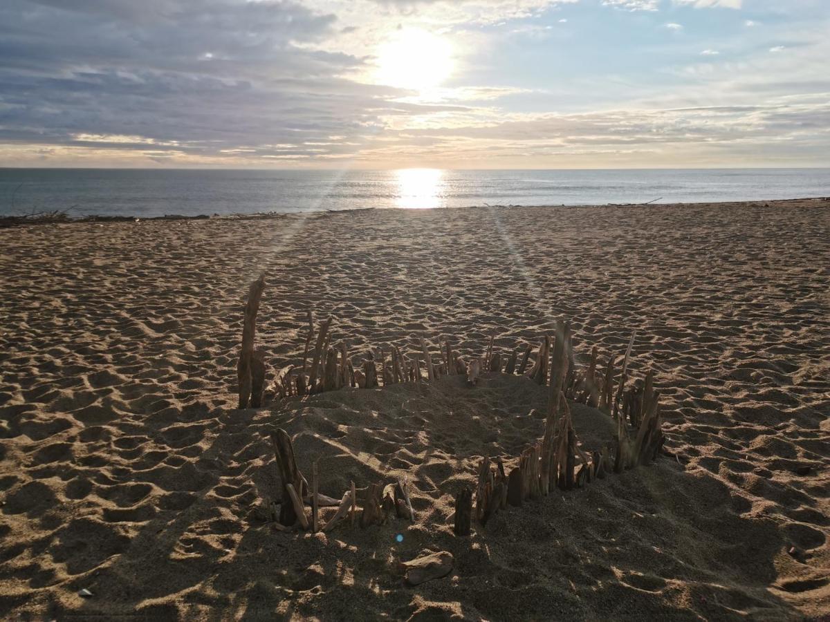 Appartement Soleil Levant - Acces Direct Plage - Terrasse - Une Chambre - Proche Commerces Le Barcarès Zewnętrze zdjęcie