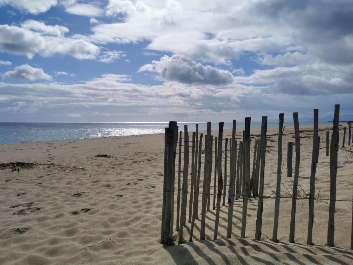 Appartement Soleil Levant - Acces Direct Plage - Terrasse - Une Chambre - Proche Commerces Le Barcarès Zewnętrze zdjęcie