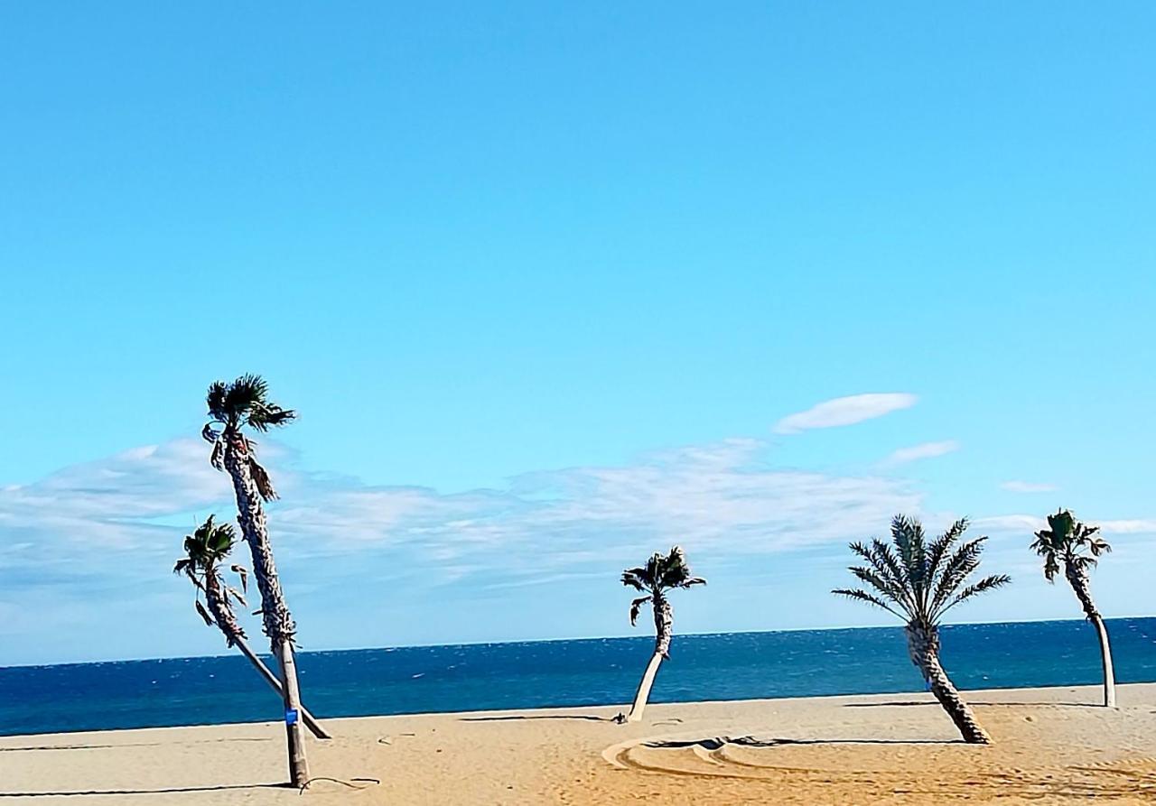 Appartement Soleil Levant - Acces Direct Plage - Terrasse - Une Chambre - Proche Commerces Le Barcarès Zewnętrze zdjęcie