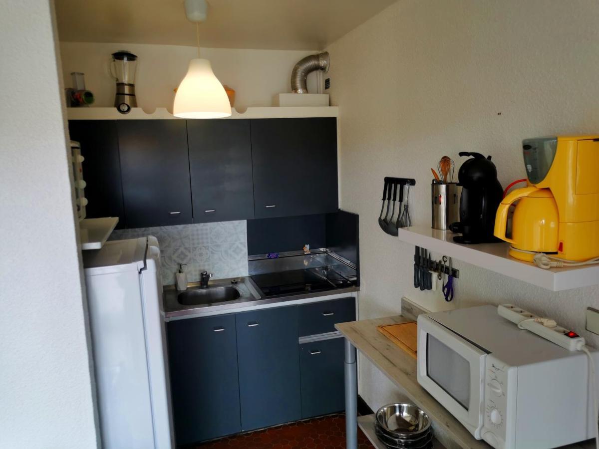 Appartement Soleil Levant - Acces Direct Plage - Terrasse - Une Chambre - Proche Commerces Le Barcarès Zewnętrze zdjęcie