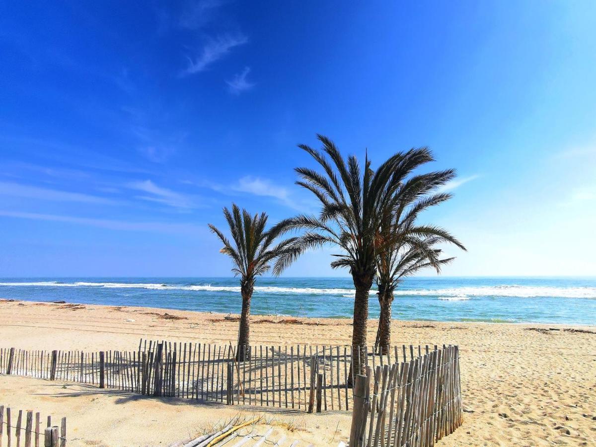 Appartement Soleil Levant - Acces Direct Plage - Terrasse - Une Chambre - Proche Commerces Le Barcarès Zewnętrze zdjęcie